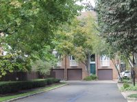 Forest Mews | Stamford CT